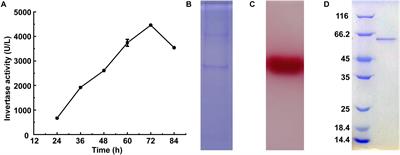 Identification of an Invertase With High Specific Activity for <mark class="highlighted">Raffinose</mark> Hydrolysis and Its Application in Soymilk Treatment